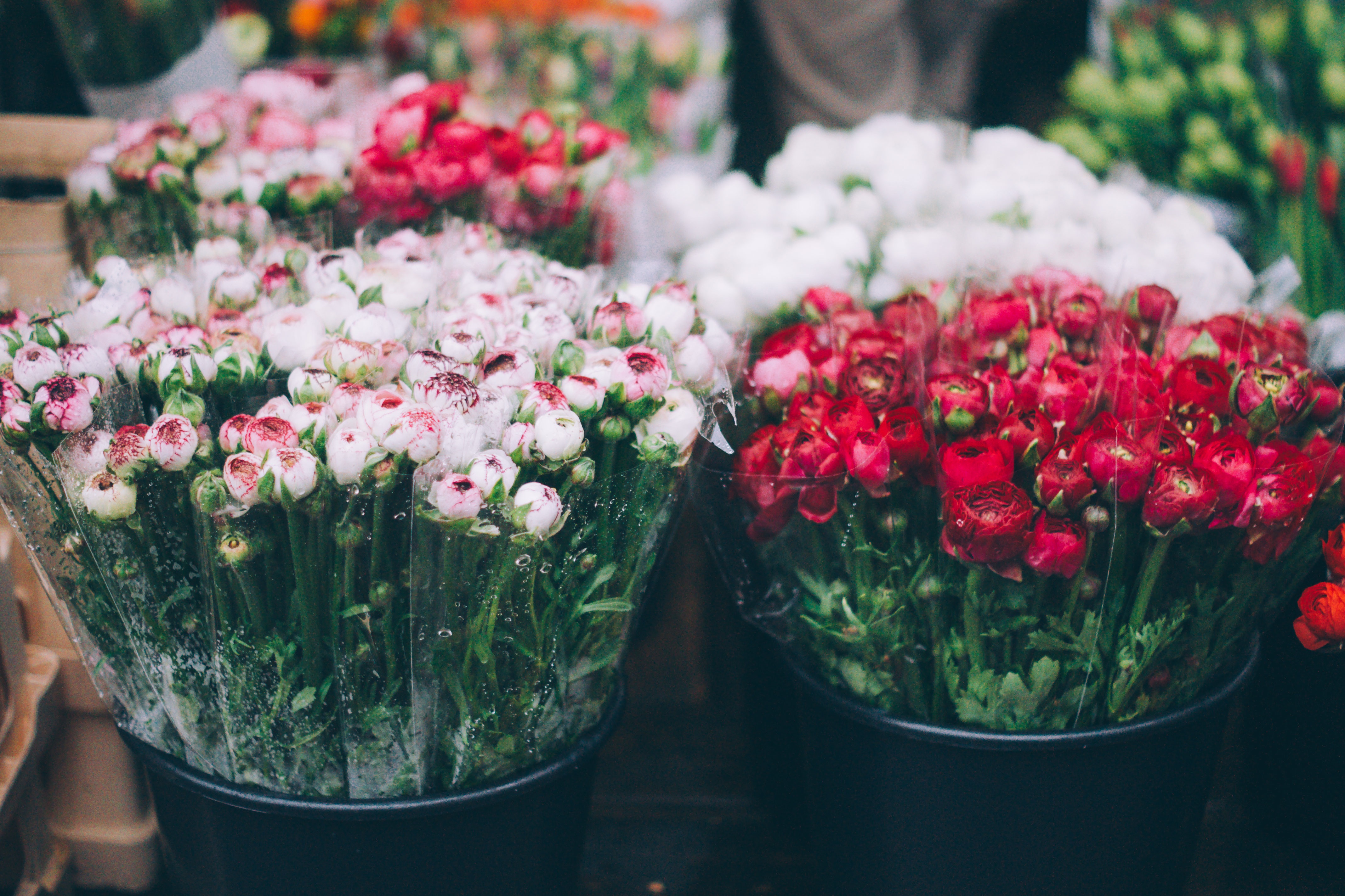 12 Items To Buy At The Farmer’s Market