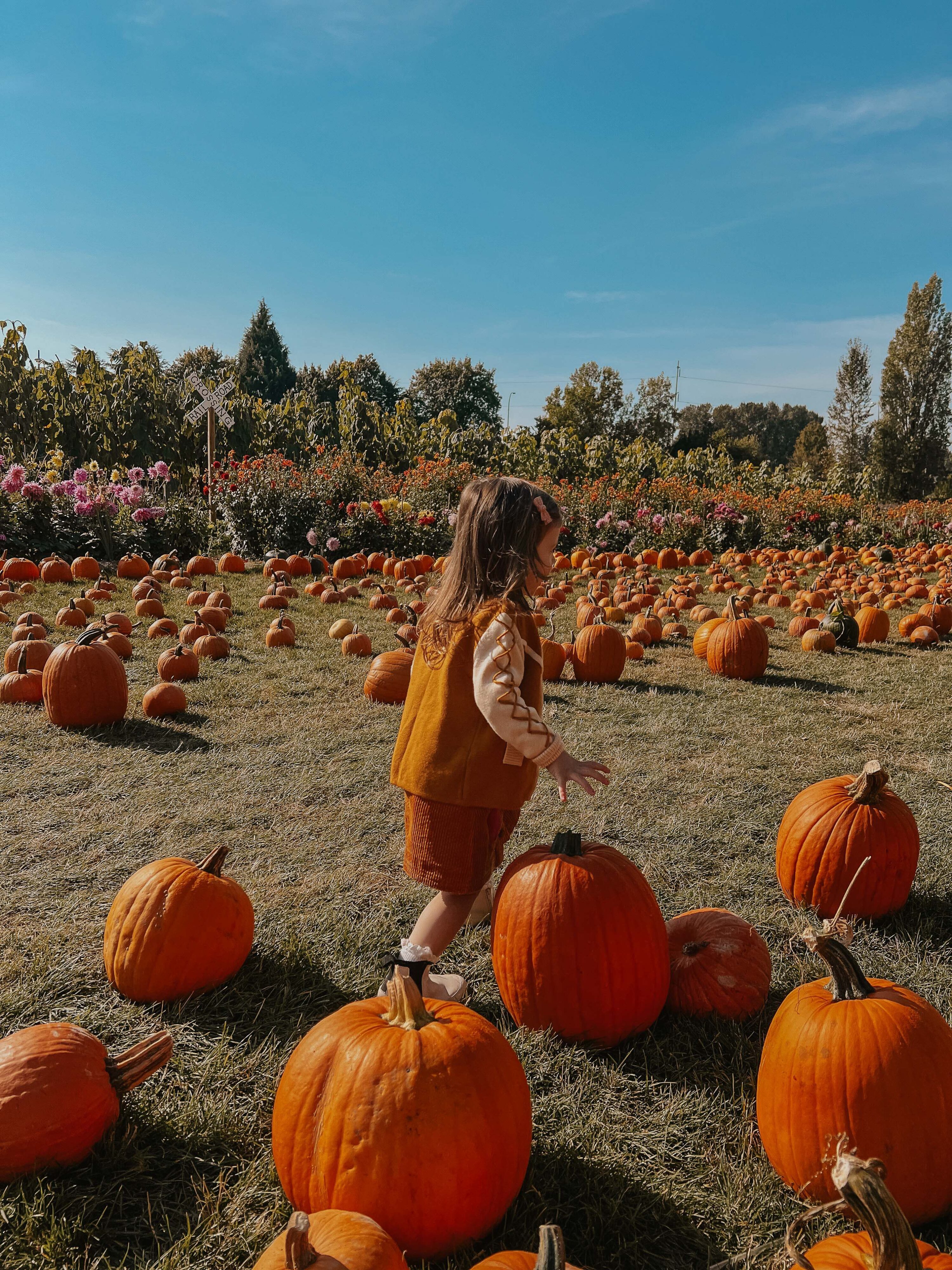 10 Things to Do in Vancouver for Halloween